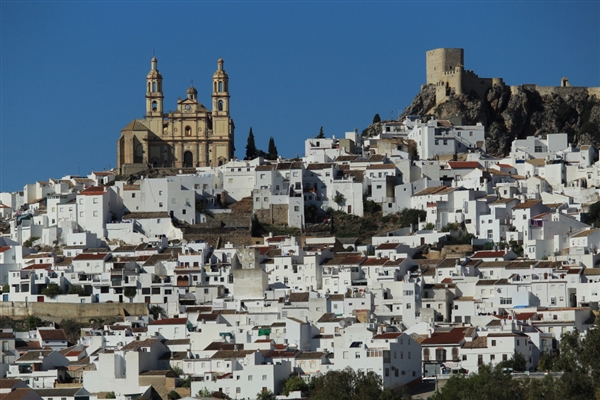 佳能发布入门单反EOS 1500D/3000D：AI辅助自动对焦