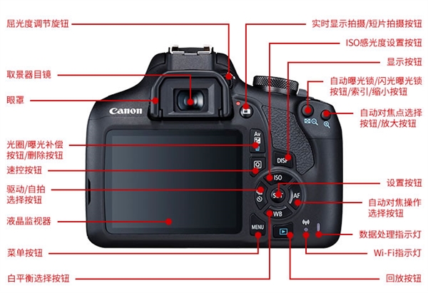 佳能发布入门单反EOS 1500D/3000D：AI辅助自动对焦