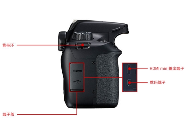 佳能发布入门单反EOS 1500D/3000D：AI辅助自动对焦