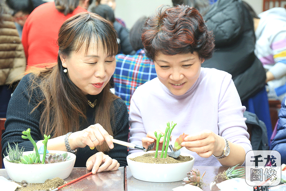 金台茅屋小学教师庆三八情趣春风做慧心巧手书院v茅屋盆景图片