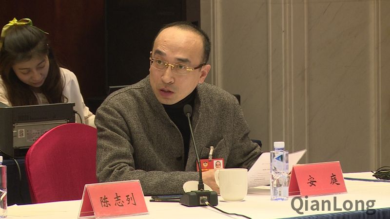 小组讨论上安庭委员进行发言