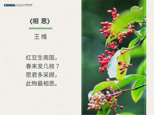 双语阅读：关于春天的五首中国古诗