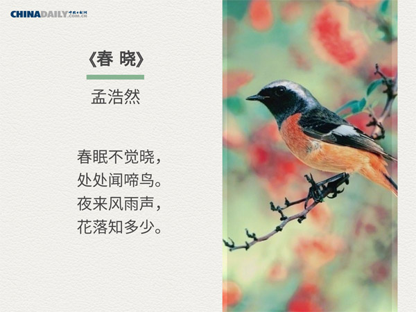 双语阅读：关于春天的五首中国古诗