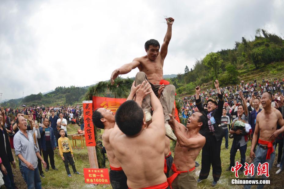 广西龙胜瑶族欢庆花炮节 民众徒手抓鱼