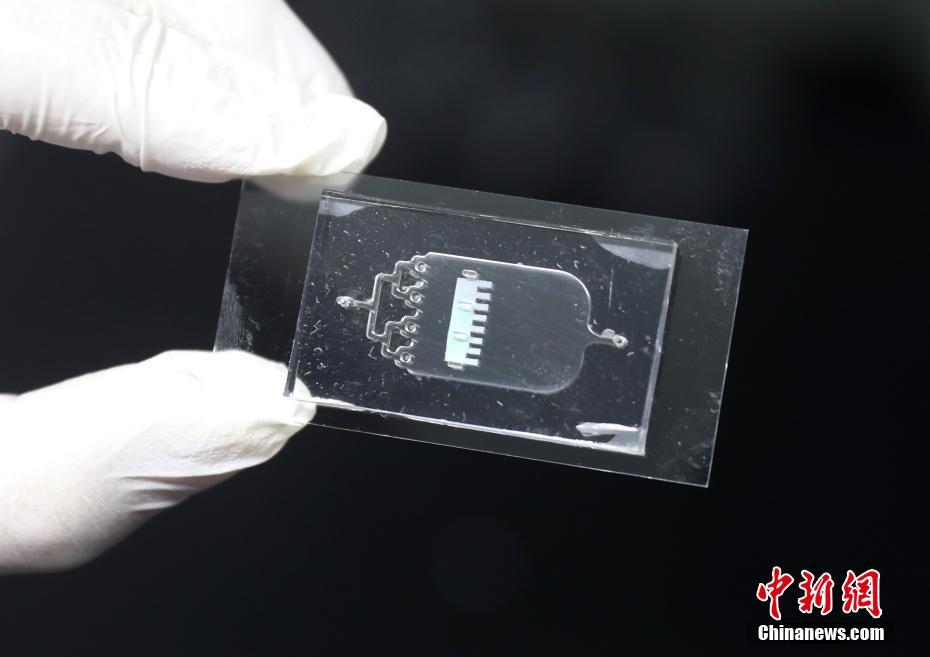 东南大学课题组研发&ldquo;变色龙&rdquo;心脏芯片