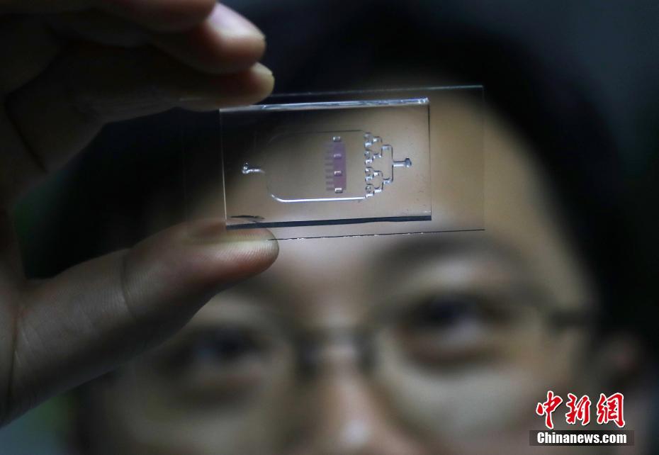 东南大学课题组研发&ldquo;变色龙&rdquo;心脏芯片