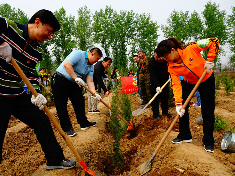 顺义胜利街道非公企业党员共植同心林