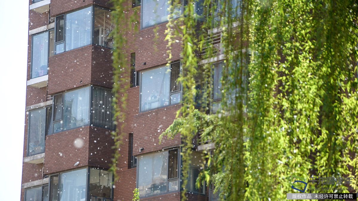 11a7e8359c8c49f8009275145b3eb194