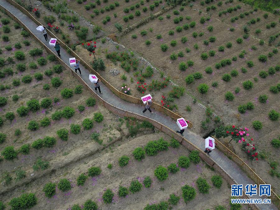 镇远县gdp_镇远县(3)