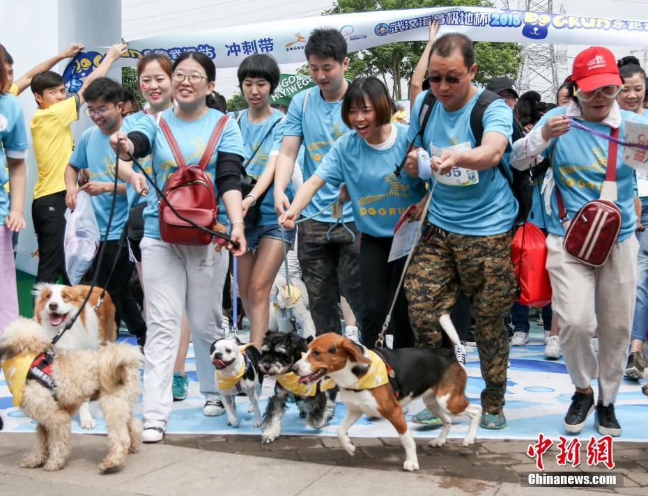 近千只狗狗武汉参加&ldquo;马拉松&rdquo;