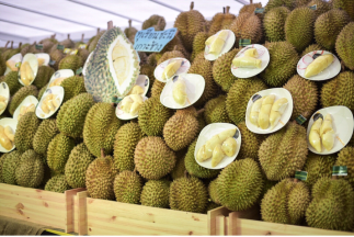 史上最有味儿的自助餐 ,曼谷EmQuartier榴莲