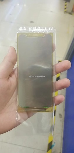 网传iPhone SE 2屏幕