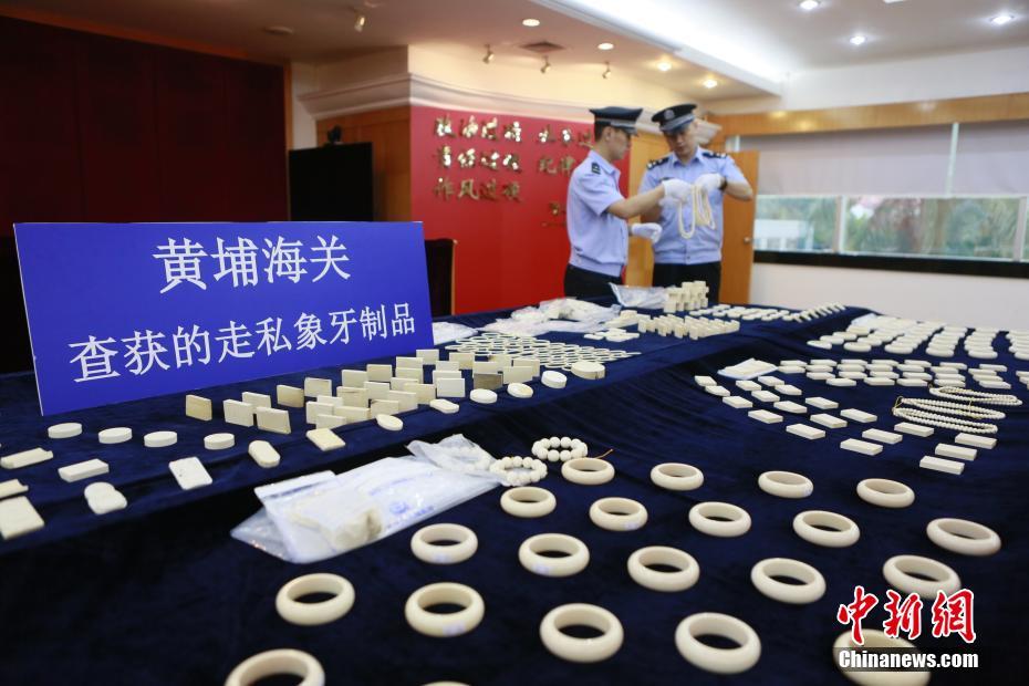 黄埔海关查获740件走私进口象牙制品