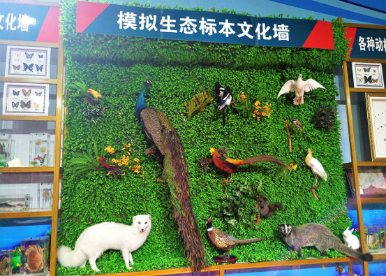 第74届中国教育装备展示会在四川蓉城圆满落幕（图文版0515）399