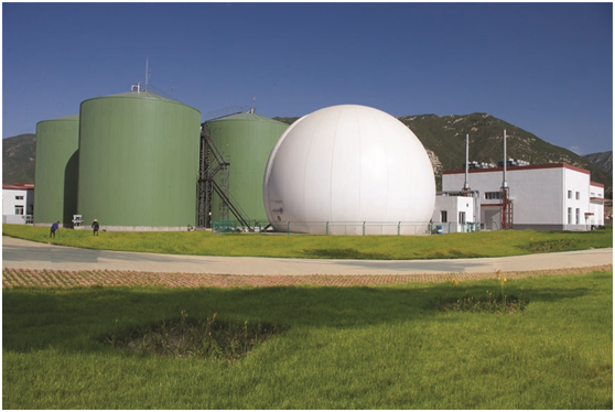 走进德青源生态农场 见证安全好鸡蛋