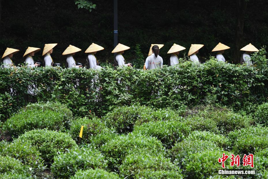 杭州千名僧人进行&ldquo;托钵行脚&rdquo;活动