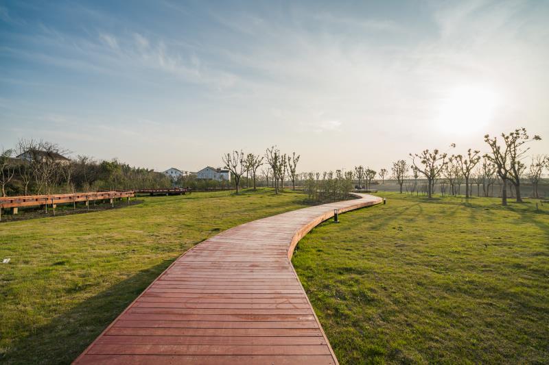不止骑 太湖稻城 杯自行车赛惊艳苏州望亭-千龙