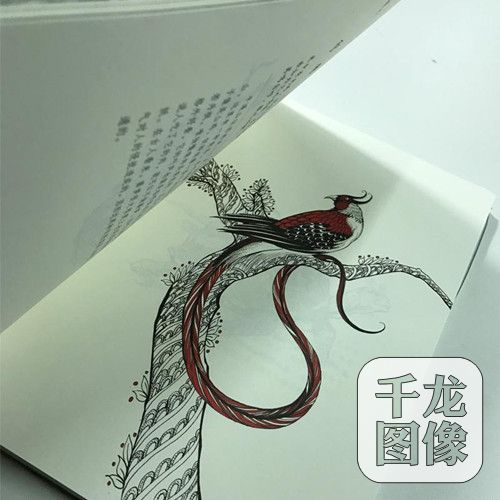 图片8