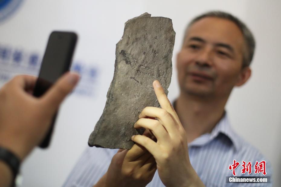 中美科学家发现地球已知最古老动物足迹化石