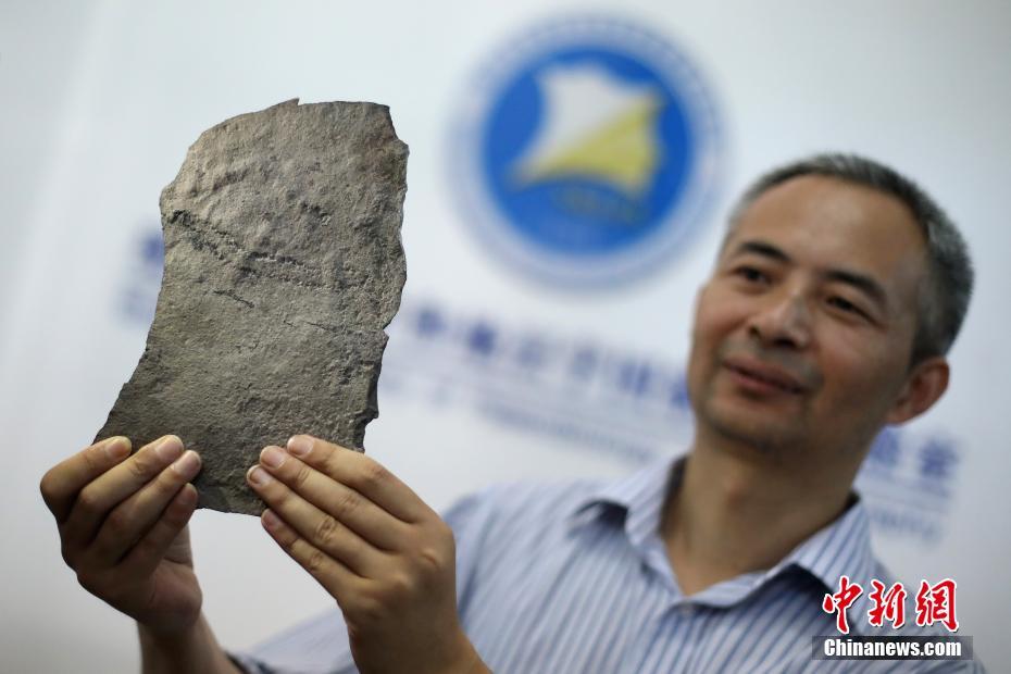 中美科学家发现地球已知最古老动物足迹化石