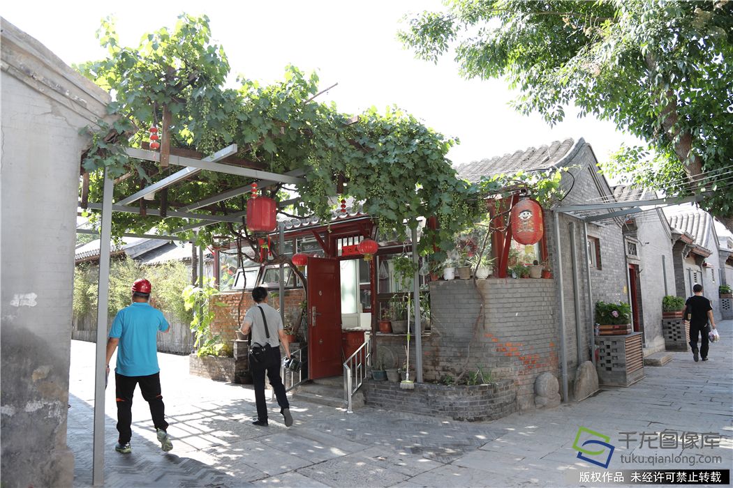 修建了葡萄架