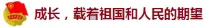 640.webp (15)