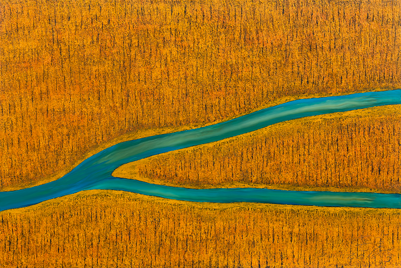 芒克 《多情之秋》之三 布面油画 100cm×80cm 2018