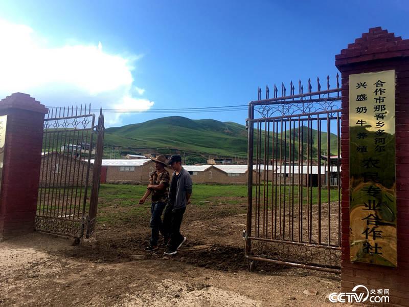 更知地自然村的多河尔兴盛奶牛养殖农民专业合作社