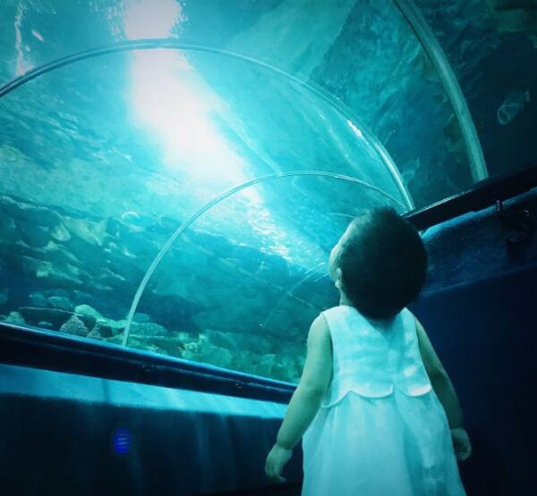 有嫦娥月亮玉兔猜成语_月亮嫦娥和玉兔图片(3)