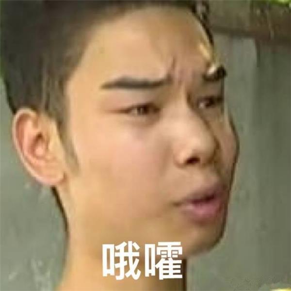 杭州租房小吴入驻酷狗短酷 海量动态表情包酝酿中