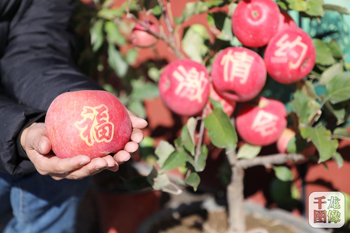 微信图片_20180926151824-12