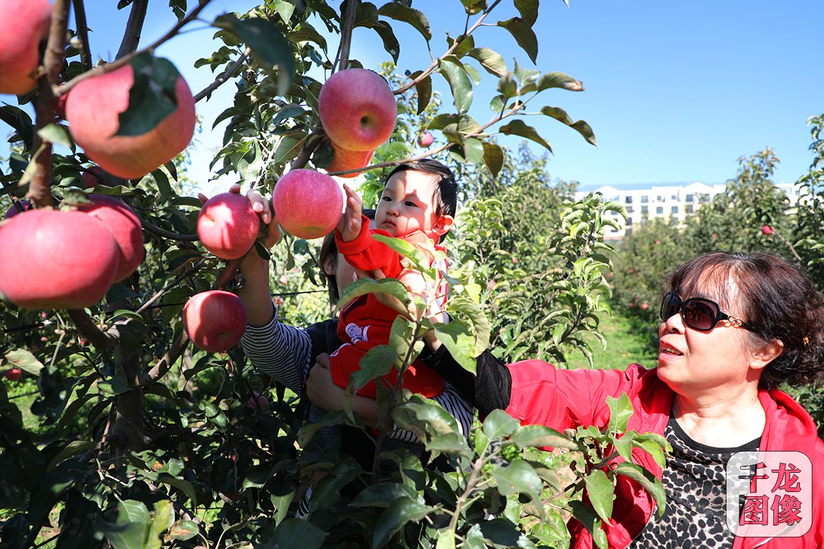 微信图片_20180926151830-12