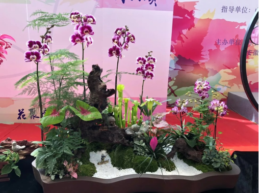 【花聚盛世 悦享生活】首届中国杯组合盆栽大