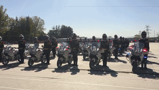 560_317 gif 动态图 动图