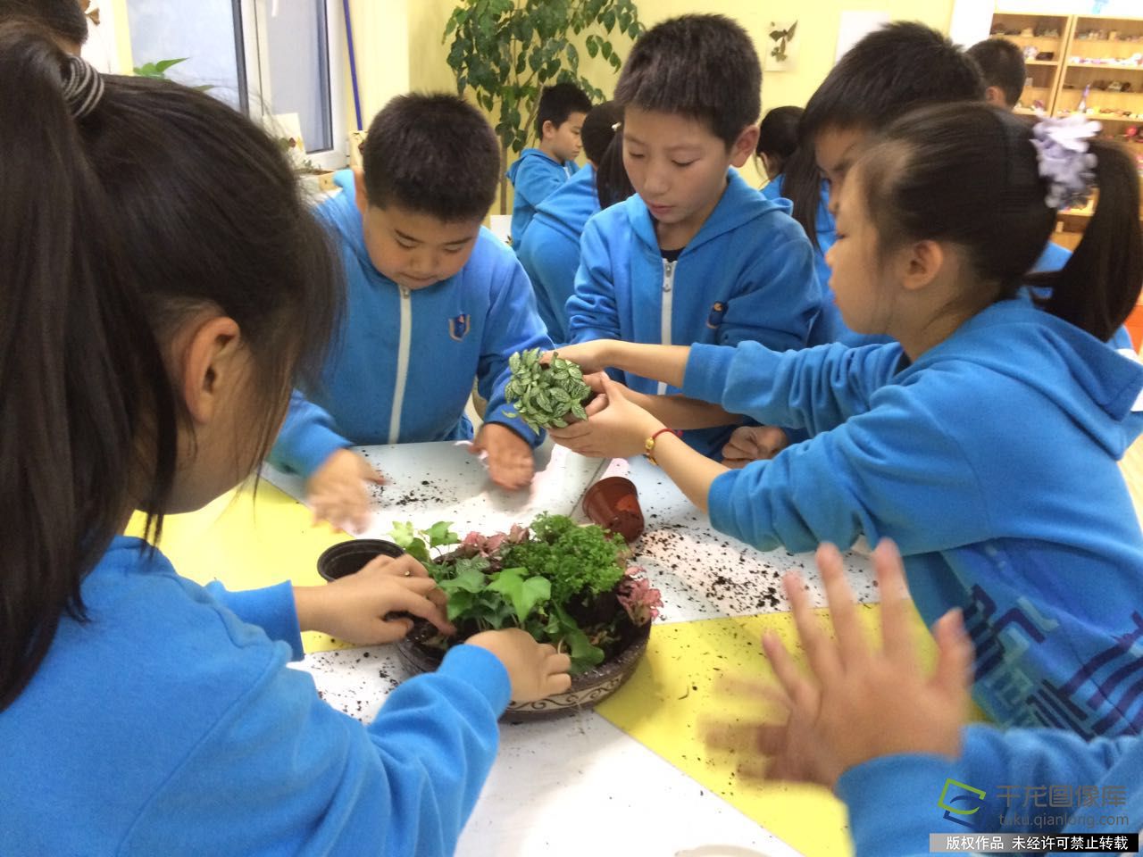 小心翼翼一起种植：我们学会了充满爱心的对待每一株小植物