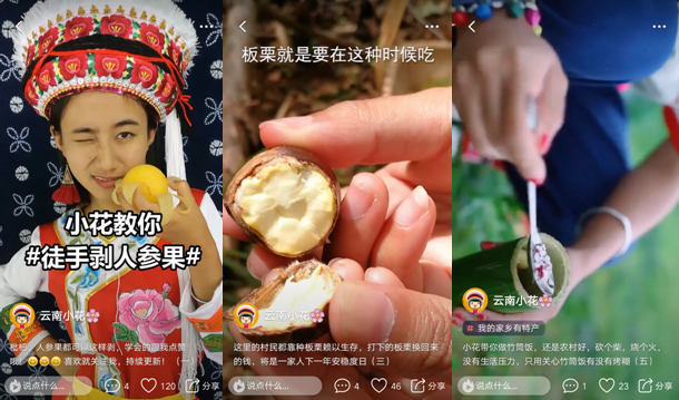 首页即时互联网商界人物企业商业商界创业收藏资讯 为“丑苹果”代言获16万赞 “云南小花”在火山小视频展示高原味道