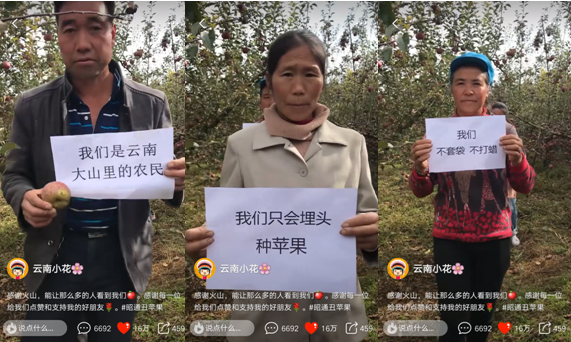 首页即时互联网商界人物企业商业商界创业收藏资讯 为“丑苹果”代言获16万赞 “云南小花”在火山小视频展示高原味道