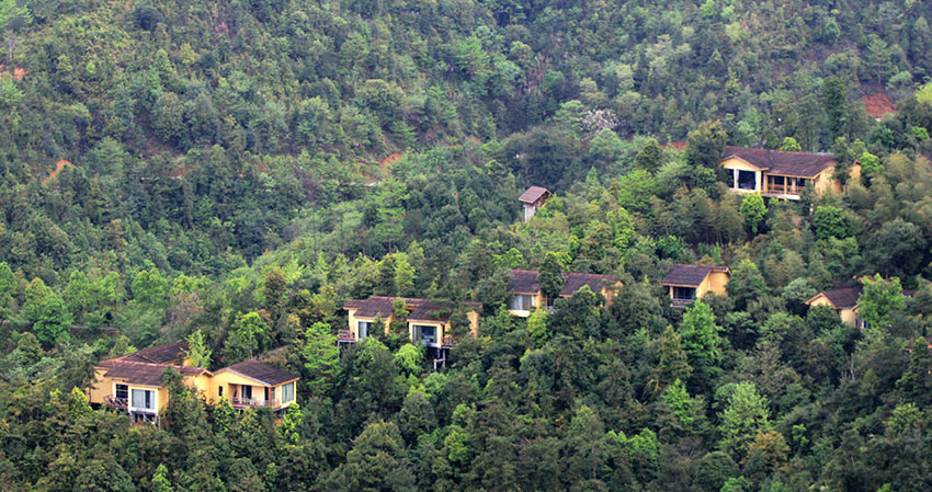 美丽乡村&middot;江西大龙村：待到山花烂漫时 必约此处来