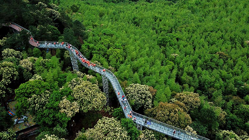 美丽乡村&middot;江西大龙村：待到山花烂漫时 必约此处来【4】