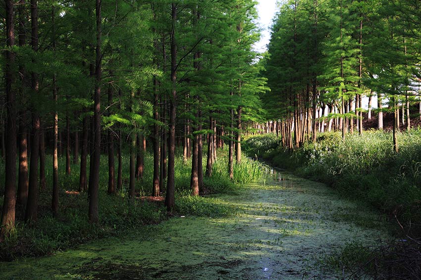 MAIN201811221709000508515951599