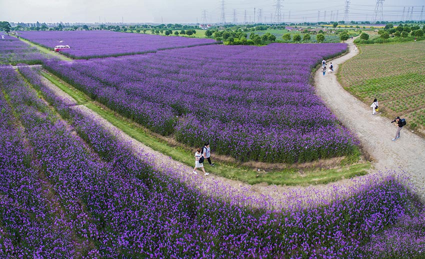 MAIN201811221709000529989048858