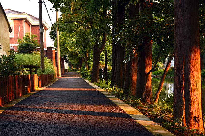 MAIN201811221709000507007928130