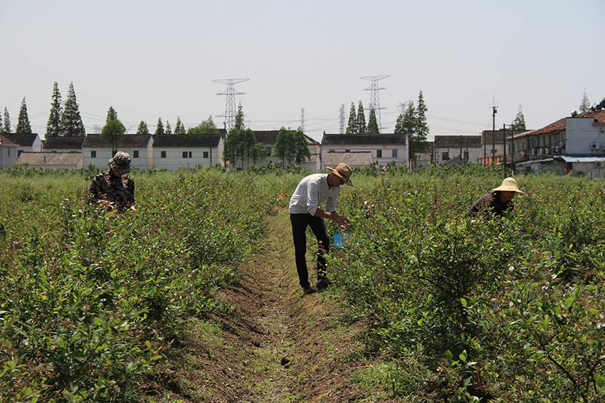 MAIN201811221709000517699828340