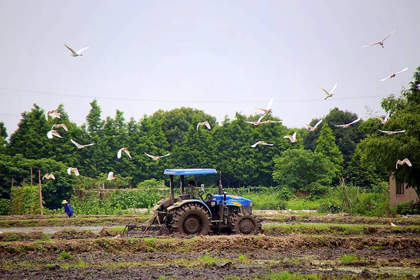 MAIN201811221709000519134367714