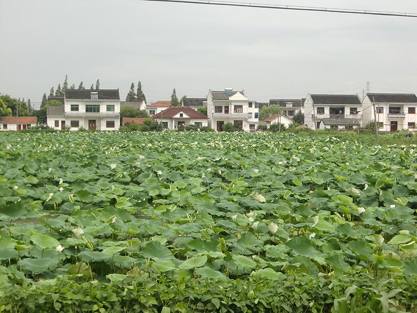 MAIN201811221709000529871345669