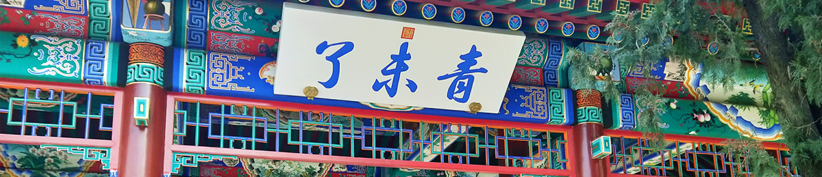 wwzjy2018122809