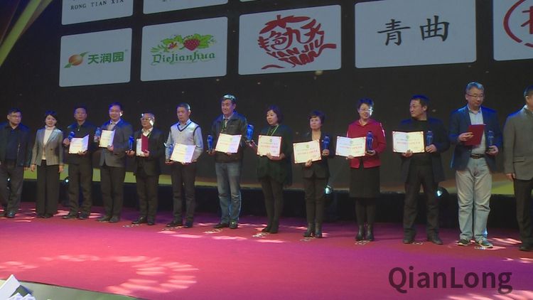 一分半|昌平草莓助阵第二届国际草莓品牌大会