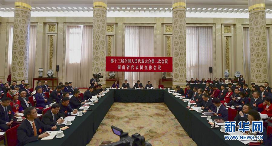 　　3月7日，十三届全国人大二次会议湖南代表团全体会议向媒体开放。新华社记者 冯大鹏 摄