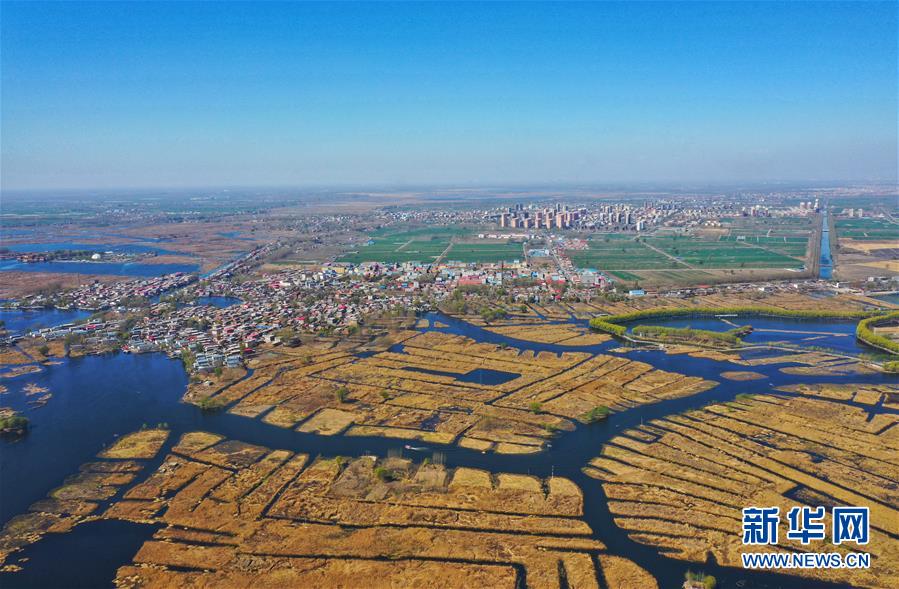 1124311240_15541010468321n