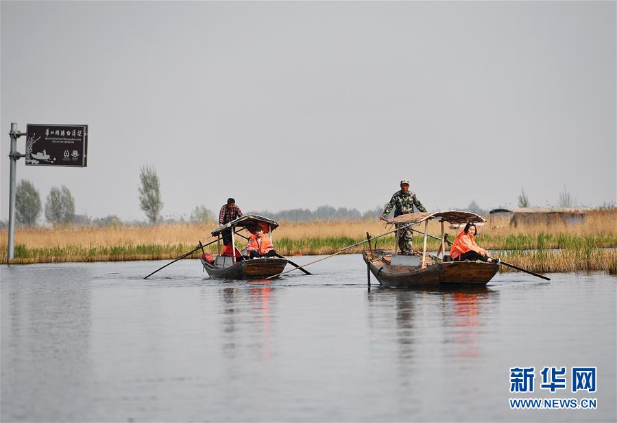 (壮丽70年·奋斗新时代·图文互动)(6)从革命老区到雄安新区 白洋淀迎来新生
